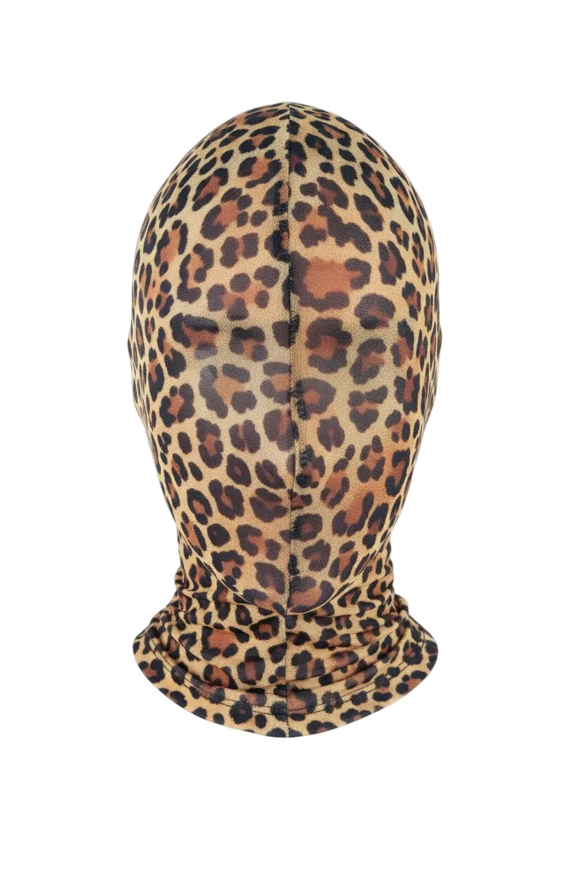 Balaclava Veil