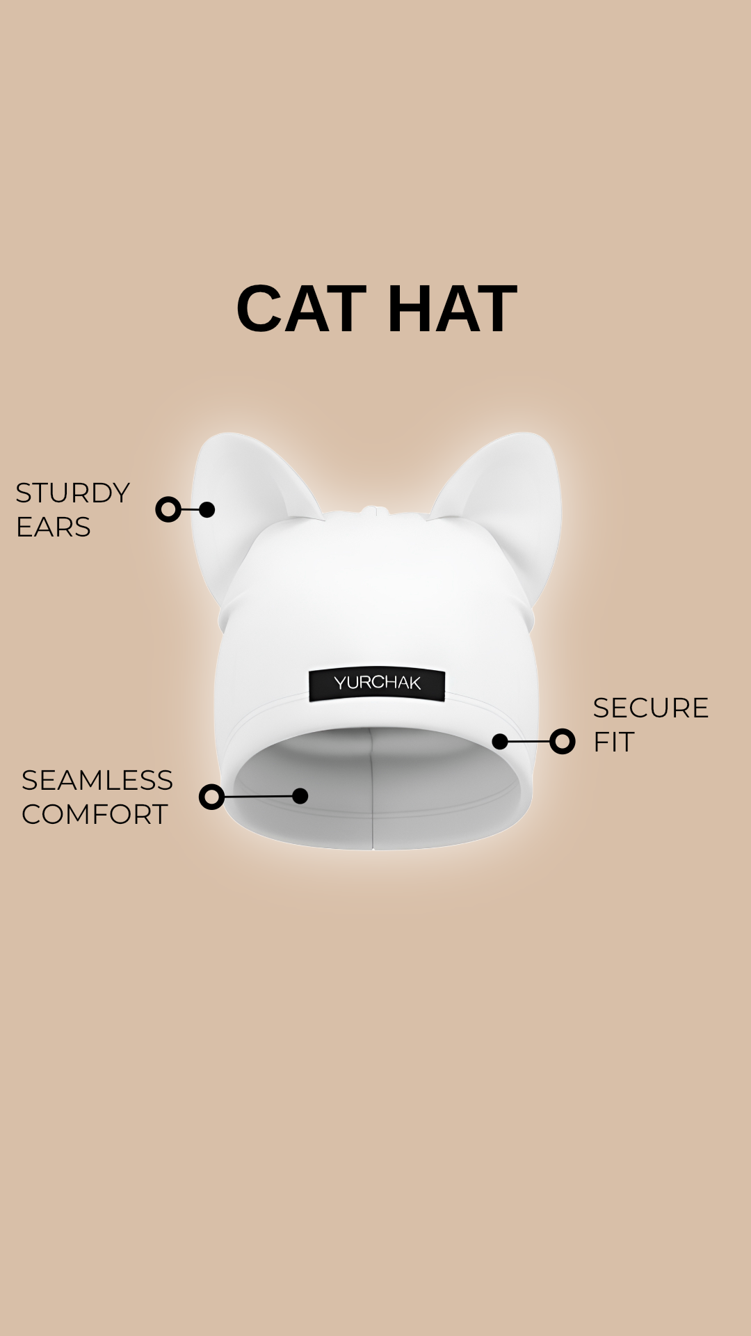 Cat Hat