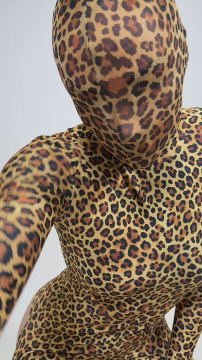 Balaclava Veil